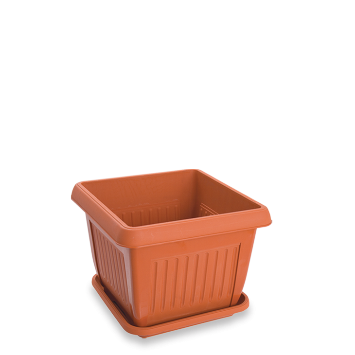 Senwell product